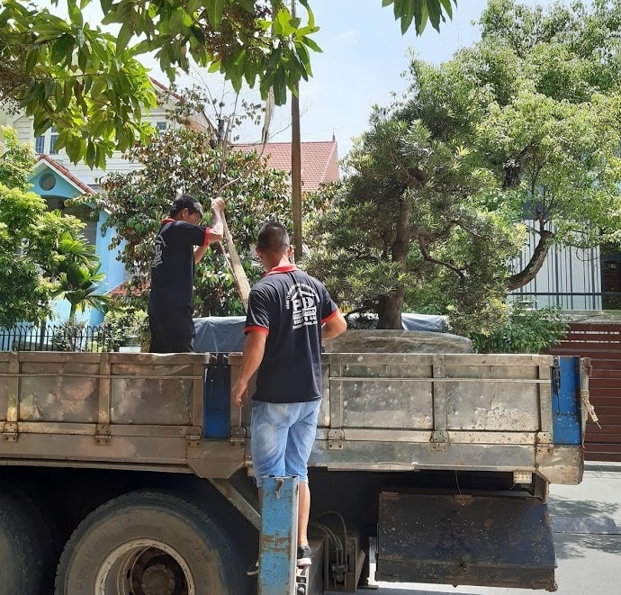 Vận chuyển chậu cây cảnh cần sử dụng xe cẩu tự hành